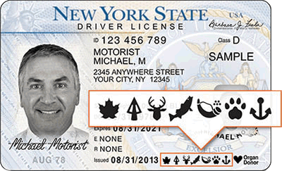 what do i need to renew license ny